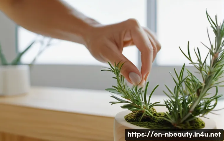 천연화장품 사용 기한 관련 이미지 1